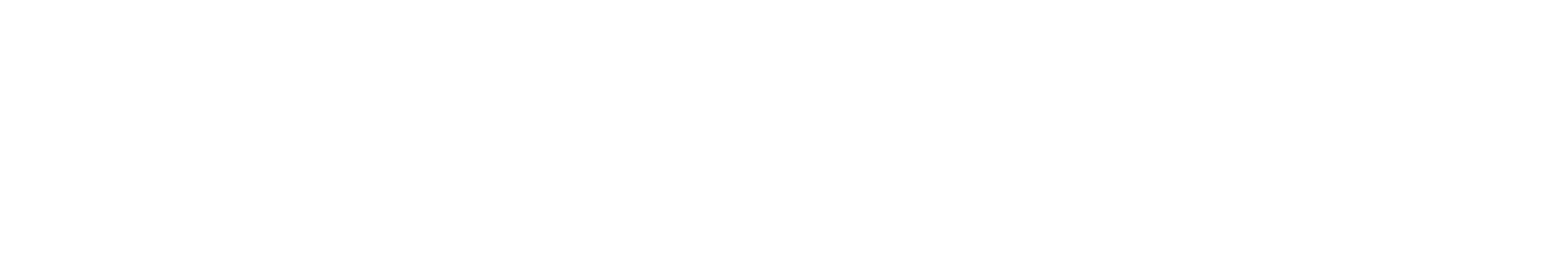 NIGHTINGALE 气冲刀